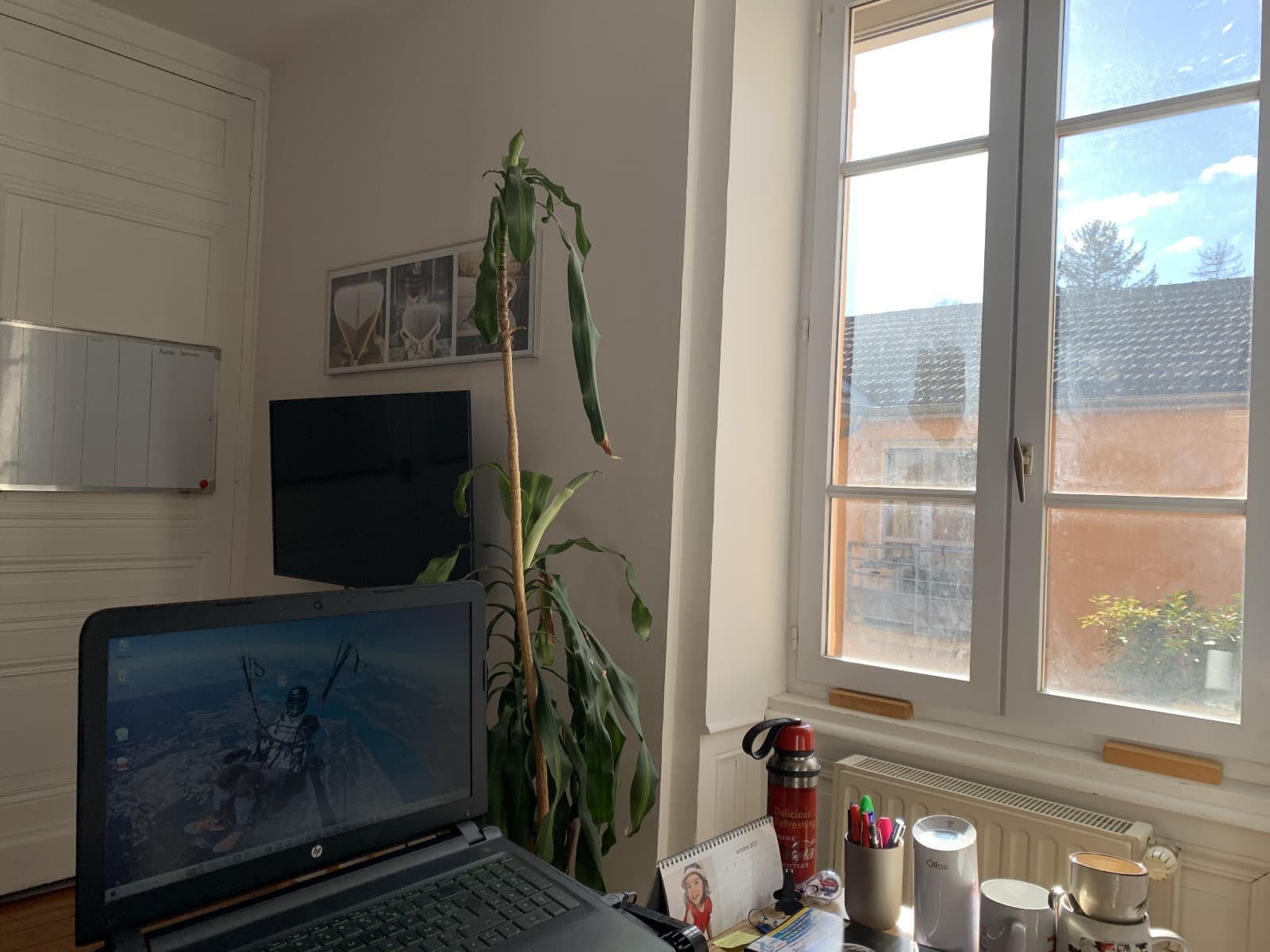 Personne utilisant un ordinateur