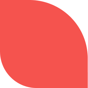 red see u better lyon