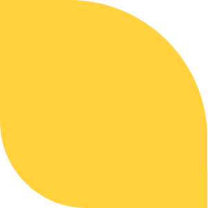 yellow see u better lyon